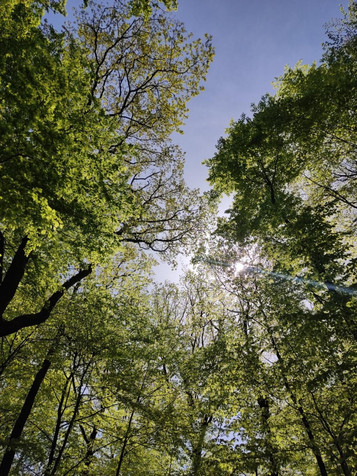 Ferienhaus Moehnetal Allagen Dış mekan fotoğraf